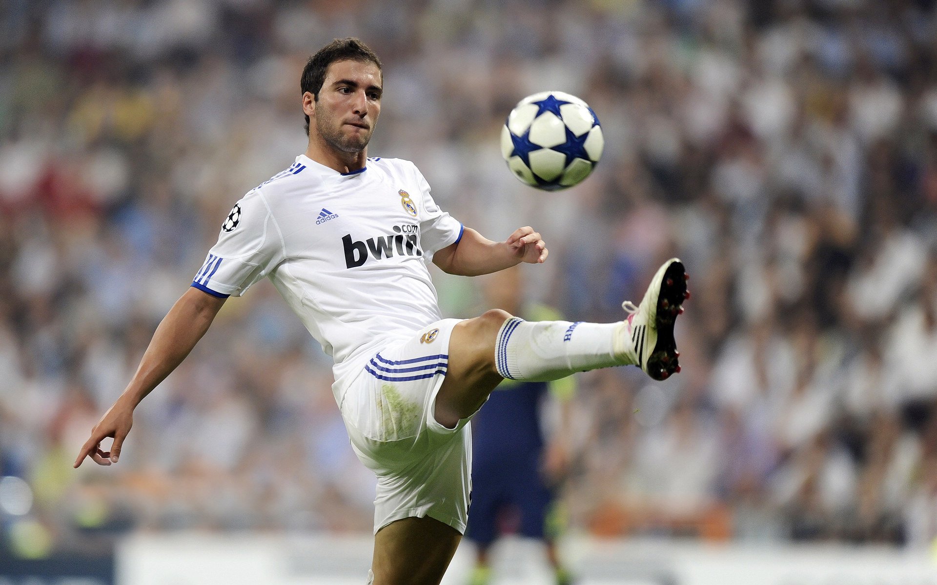 中国篮球的底气源自无数拼搏者，中国篮球的地位