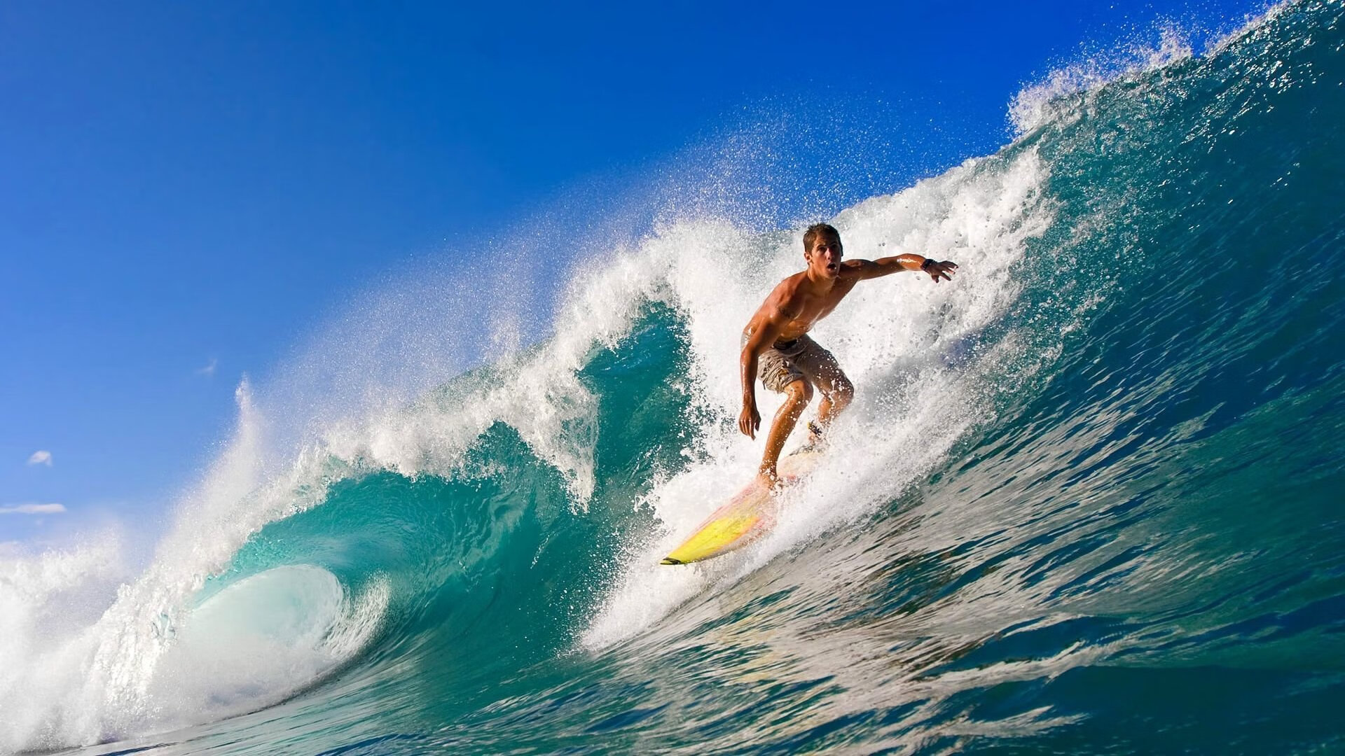 俱乐部推行“青少年+绿色+科技”多元融合理念，行业持续绿色发展